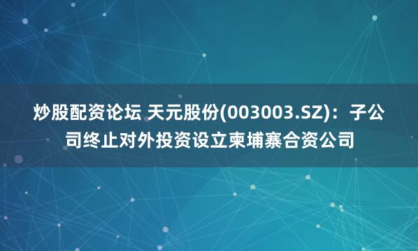 炒股配资论坛 天元股份(003003.SZ)：子公司终止对外投资设立柬埔寨合资公司