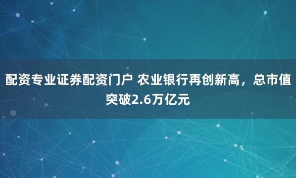 配资专业证券配资门户 农业银行再创新高，总市值突破2.6万亿元