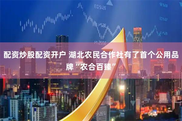 配资炒股配资开户 湖北农民合作社有了首个公用品牌“农合百臻”